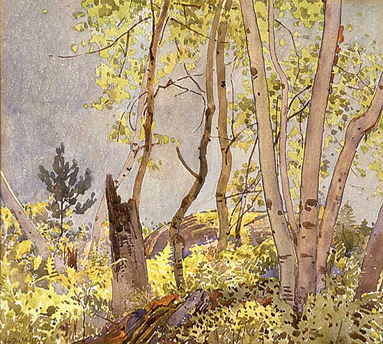 #118 ~ Phillips - The Edge of the Woods, Muskoka