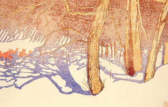 #125 ~ Phillips - Tree Shadows on Snow