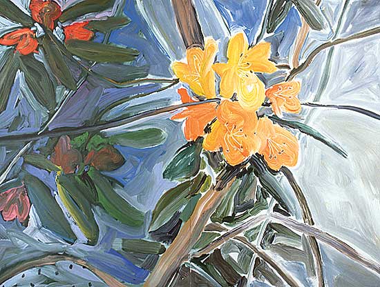 #140 ~ Poole - Tri Rhodo
