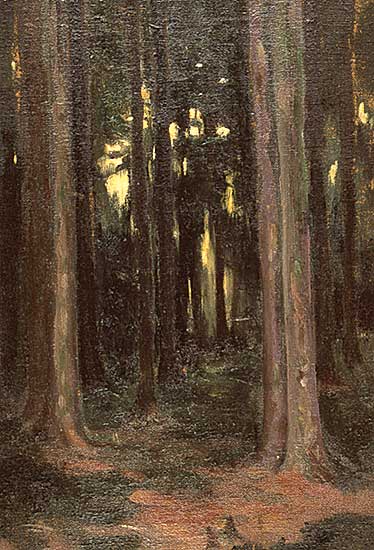 #144 ~ Robertson - Sombreness Sunlit