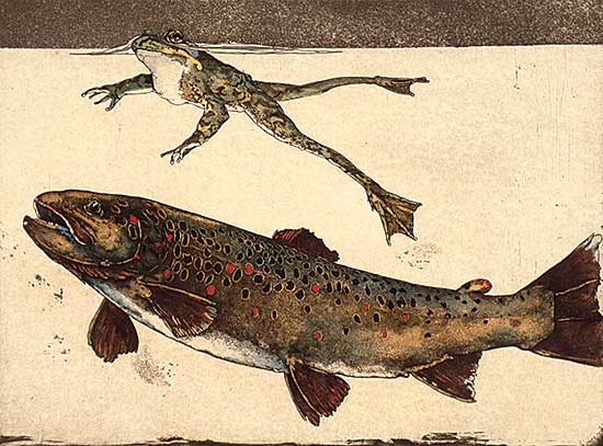 #439 ~ Cowin - Madison Meadows [Western Trout Series]  #14/75