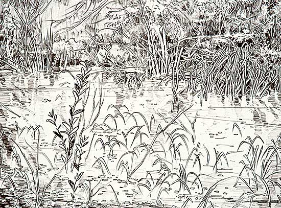 #468 ~ Godwin - Bone Creek  #12/50