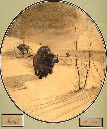 #486 ~ Innes - Untitled - Buffalo on the Prairie