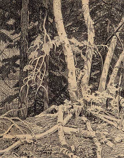 #497 ~ Lindner - Untitled - Forest Interior