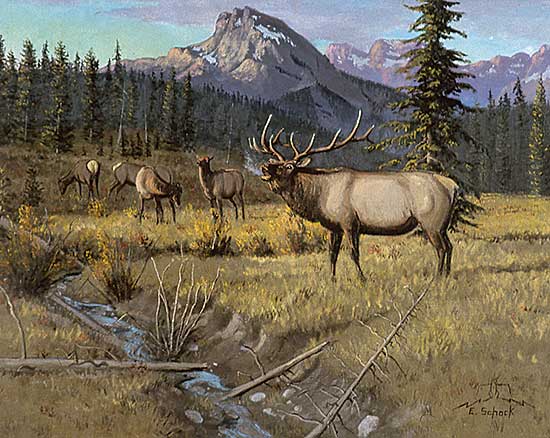 #552.1 ~ Schock - Untitled - Bugling Elk in a Mountain Setting