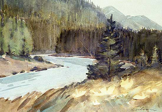 #594 ~ Wilson - Near Bow Lake