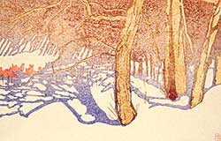 #125 ~ Phillips - Tree Shadows on Snow