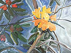 #140 ~ Poole - Tri Rhodo