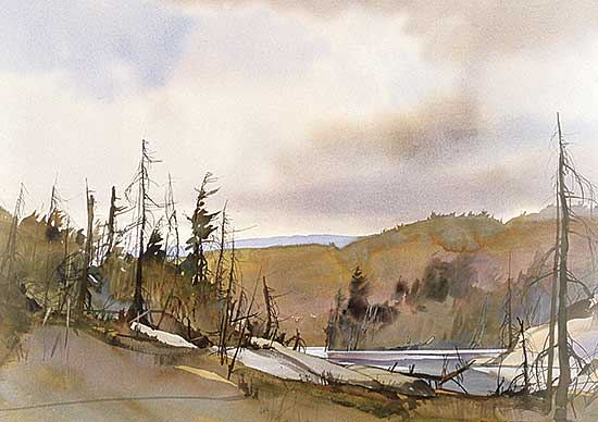 #3 ~ Atyeo - Killarney Backwater