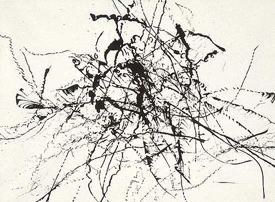 #5 ~ Barbeau - Les Dentelles du Reve