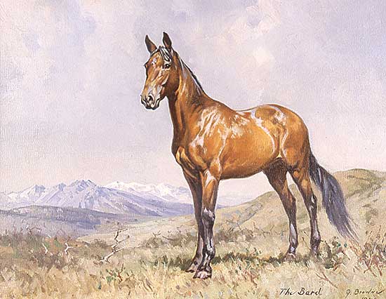 #26 ~ Browne - The Bard