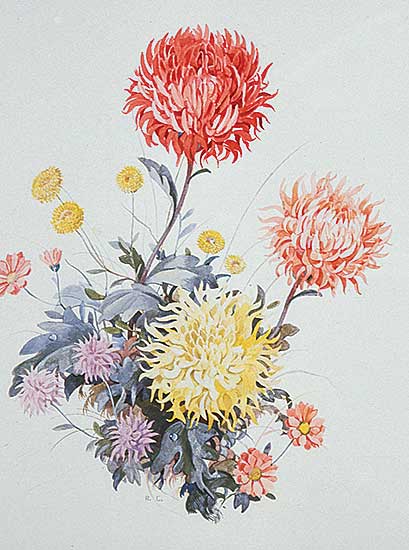#32 ~ Ciccimarra - Chrysanthemums