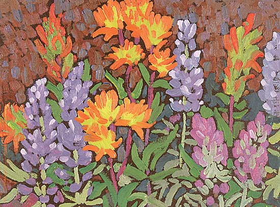 #79 ~ Kerr - Indian Paintbrush and Lupins #2