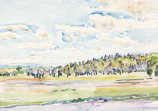 #80 ~ Knowles - Near the Buffalo Paddocks