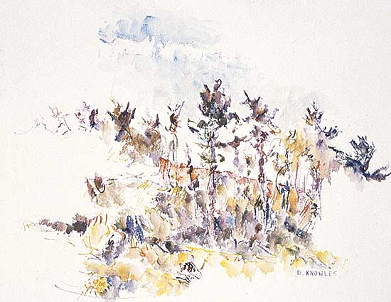 #81 ~ Knowles - Untitled - Prairie Flowers