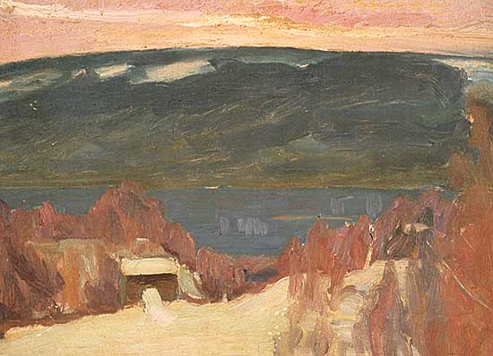 #102 ~ Lunde - Untitled - Norwegian Fiord