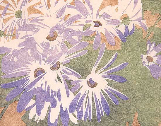 #123 ~ Phillips - Cineraria  #95