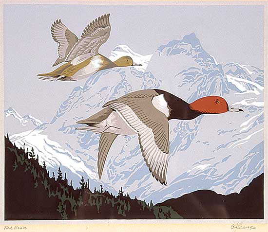 #436.2 ~ Casson - Red Head