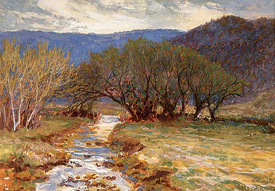 #442 ~ Cutts - A Babbling Brook in North Carolina