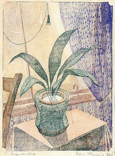 #461 ~ Fleming - Aspidistra