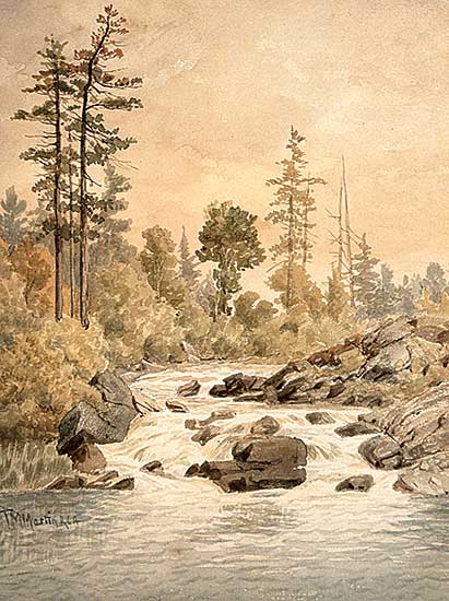 #503 ~ Martin - Untitled - Woodland Falls