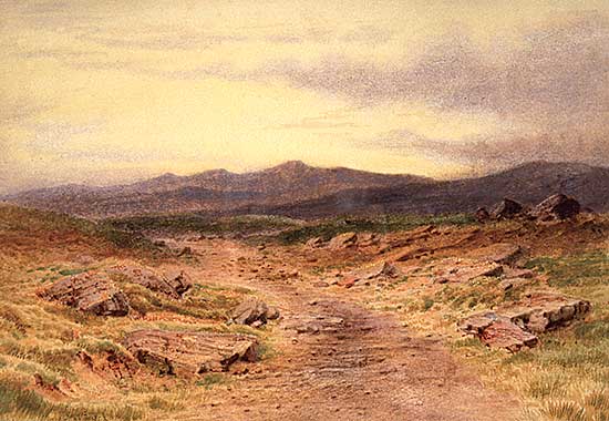 #504 ~ Martin - Untitled - Path in the Mountains