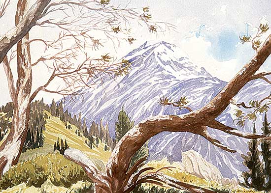 #514 ~ Millard - Mt. Aylmer from the Fire Lookout Site