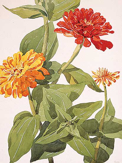 #519 ~ Motter - Untitled - Flowers