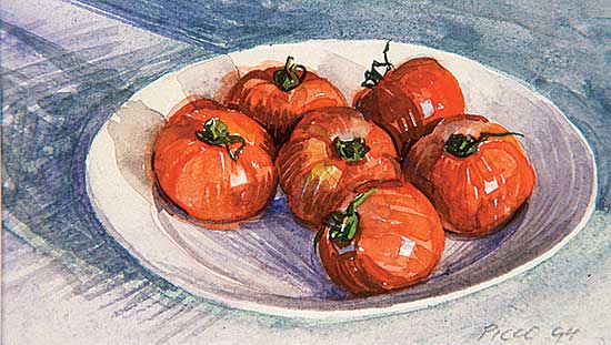 #534 ~ Picco - Tomatoes, 1995