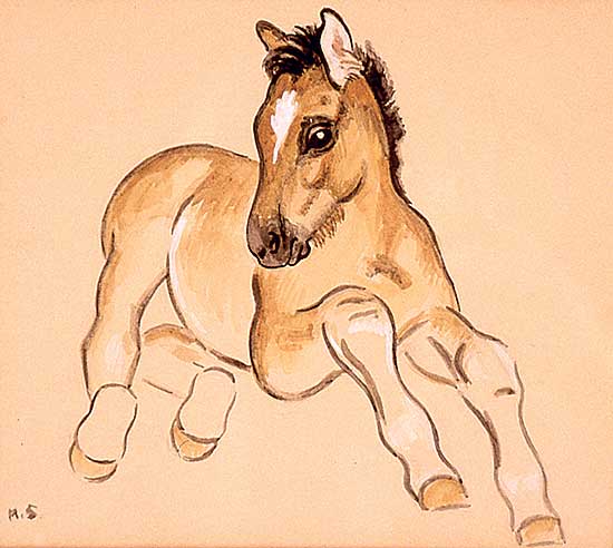 #557 ~ O'Donnell - Canadian Foal