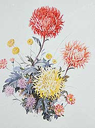 #32 ~ Ciccimarra - Chrysanthemums