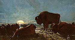 #104 ~ Martin - Untitled - Buffalo at Moonrise