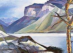 #138 ~ Pugh - The Old Tree, Minnewanka