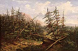 #573 ~ Thompson - Pines in British Columbia
