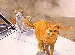 #584 ~ Wildman - Untitled - Two Cats on Car Roof #584 ~ Wildman - Untitled - Two Cats on Car Roof