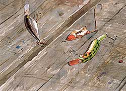#585 ~ Wildman - Fishing Lures #585 ~ Wildman - Fishing Lures
