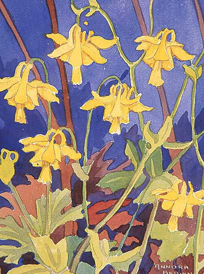 #9 ~ Brown - Untitled - Yellow Columbine