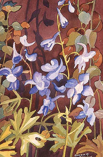 #10 ~ Brown - Untitled - Larkspur