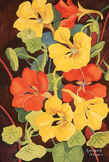 #12 ~ Brown - Untitled - Nasturtiums