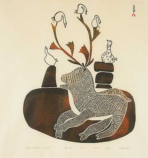 #77.1 ~ Ashoona - Young Caribou and Birds  #6/50