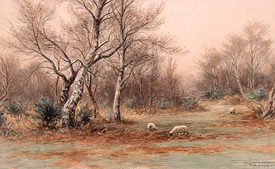 #207 ~ Verner - Untitled - Sheep in Pasture