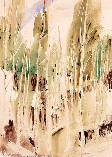 #431 ~ Angliss - Untitled - Forest Scene