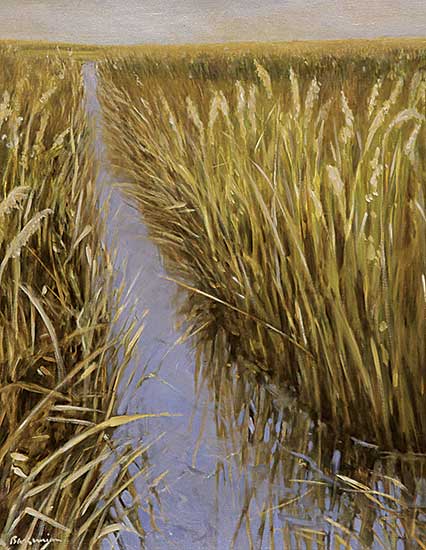 #447 ~ Barsumian - Wetlands