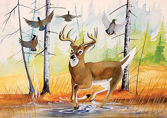 #508 ~ Cobiness - Untitled - Surprised Deer