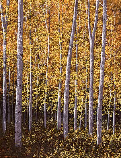 #570 ~ Guerrero - Golden Woods