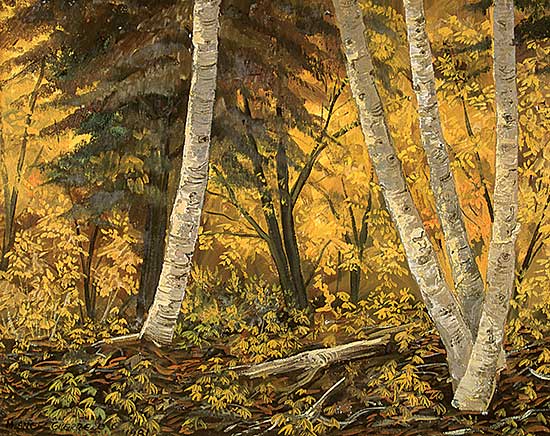 #572 ~ Guerrero - Fall