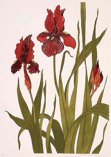 #596 ~ Iger - German Iris  #68/165