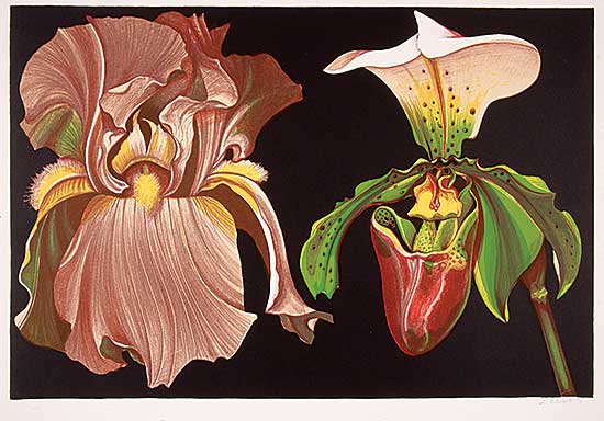 #634 ~ Nesbitt - Untitled - Iris and Orchid [plate V]  #III/XXV