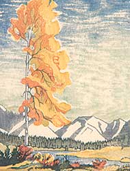#181 ~ Shelton - Yellow Poplar, Banff  #172/200