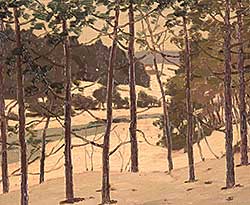 #194 ~ Thomson - Young Pines -Overlooking the River